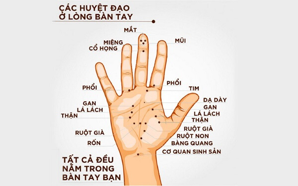 huong-dan-cho-ban-cach-massage-de-tri-dau-dau-3